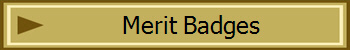 Merit Badges