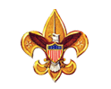 bsa logo